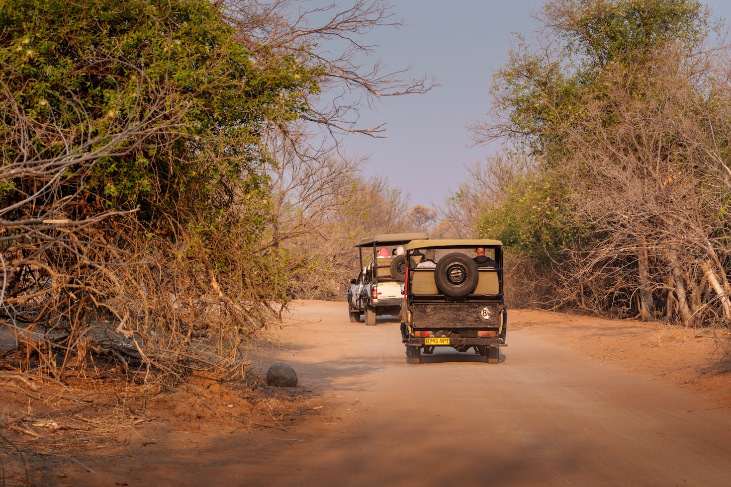 Voyager léger avec un café toujours à portée